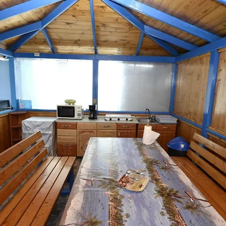 εlada 3* Costinesti